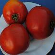 Томат Сахарок