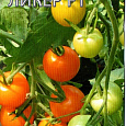 Томат (Помидор) обыкновенный Ликер F1 Оранжевый