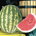 Арбуз Кримсон Свит